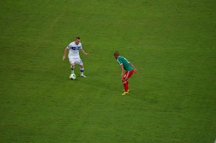 费德勒赛事官方发布挺进下一轮新规，利物浦争议不断！